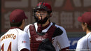 Professional Baseball Spirits 2014 - PS3 (Japanese)