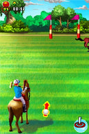 101 in 1: Megamix Sports - DS