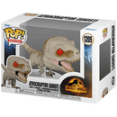 Pop! Vinyl