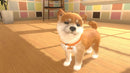 Little Friends: Dogs & Cats - Switch
