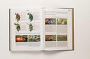 The Legend of Zelda: Tears of the Kingdom - The Complete Official Guide