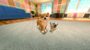 Little Friends: Dogs & Cats - Switch