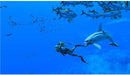 Endless Ocean: Luminous - Switch - Super Retro