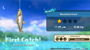 Fishing Star World Tour - Super Retro