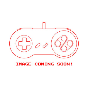 Michael Jordan: Chaos in the Windy City - SNES (NTSC) - Super Retro